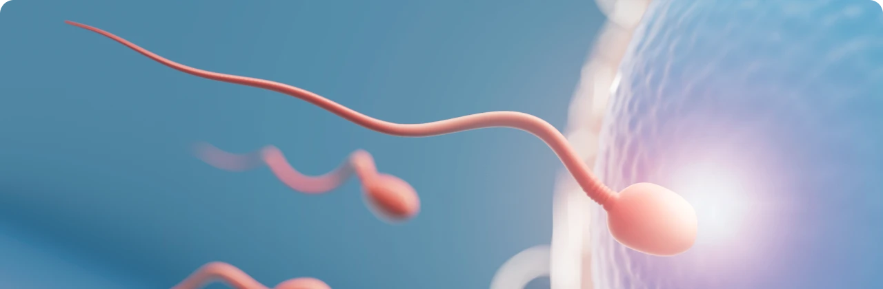male_infertility_1x_6_11zon.webp